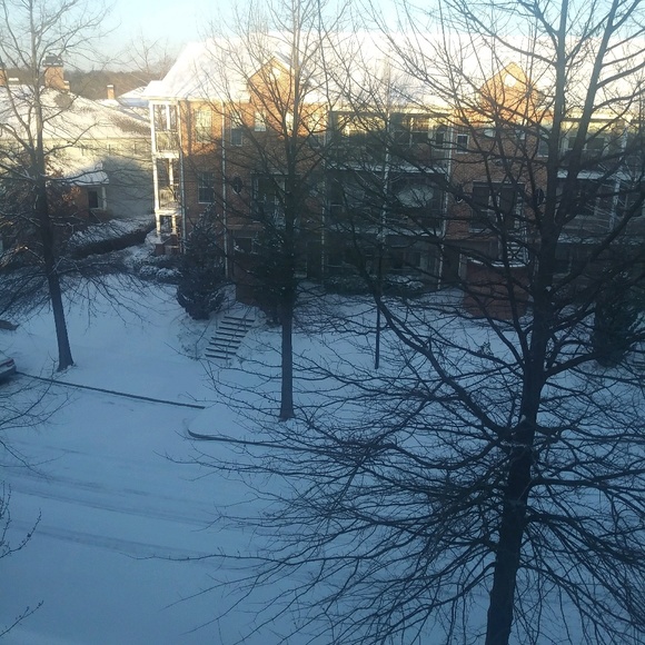 Meet your Posher, Nichelle - Picture 1 of 1